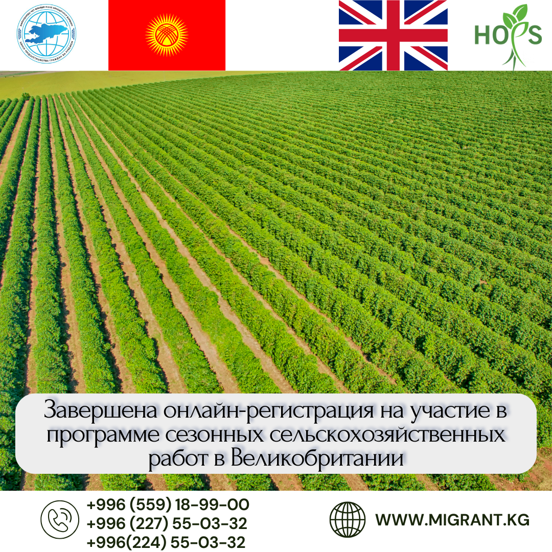 Завершена онлайн-регистрация на участие в программе сезонных сельскохозяйственных работ в Великобритании