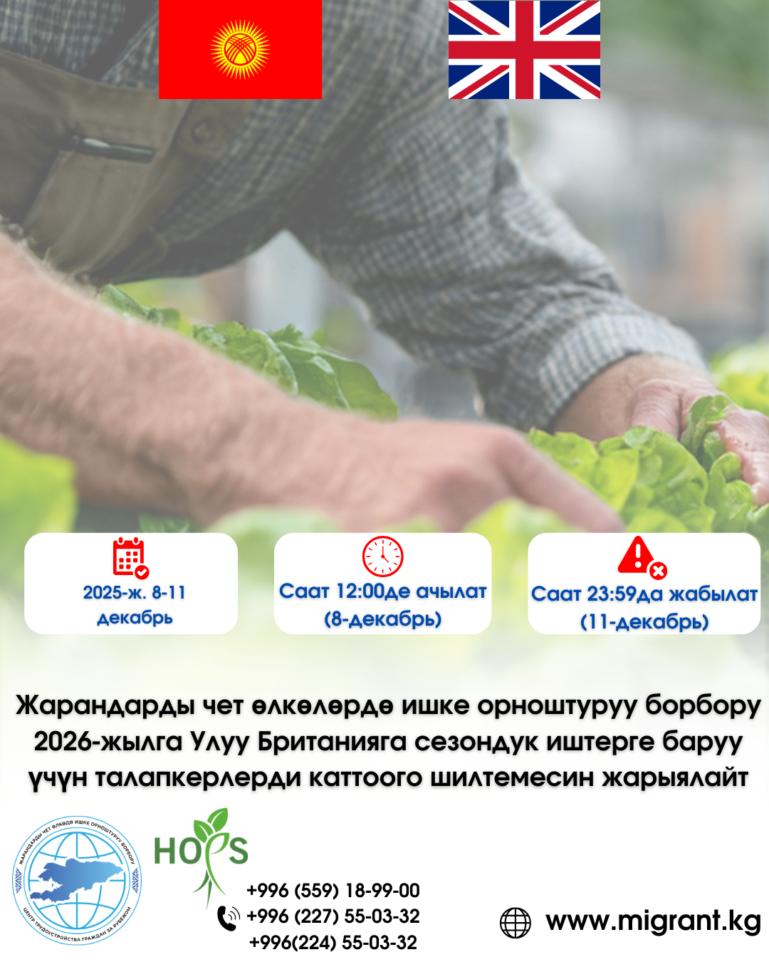 Жарандарды чет өлкөлөрдө ишке орноштуруу борбору 2026-жылга Улуу Британияга сезондук иштерге баруу үчүн талапкерлерди каттоого шилтемесин жарыялайт