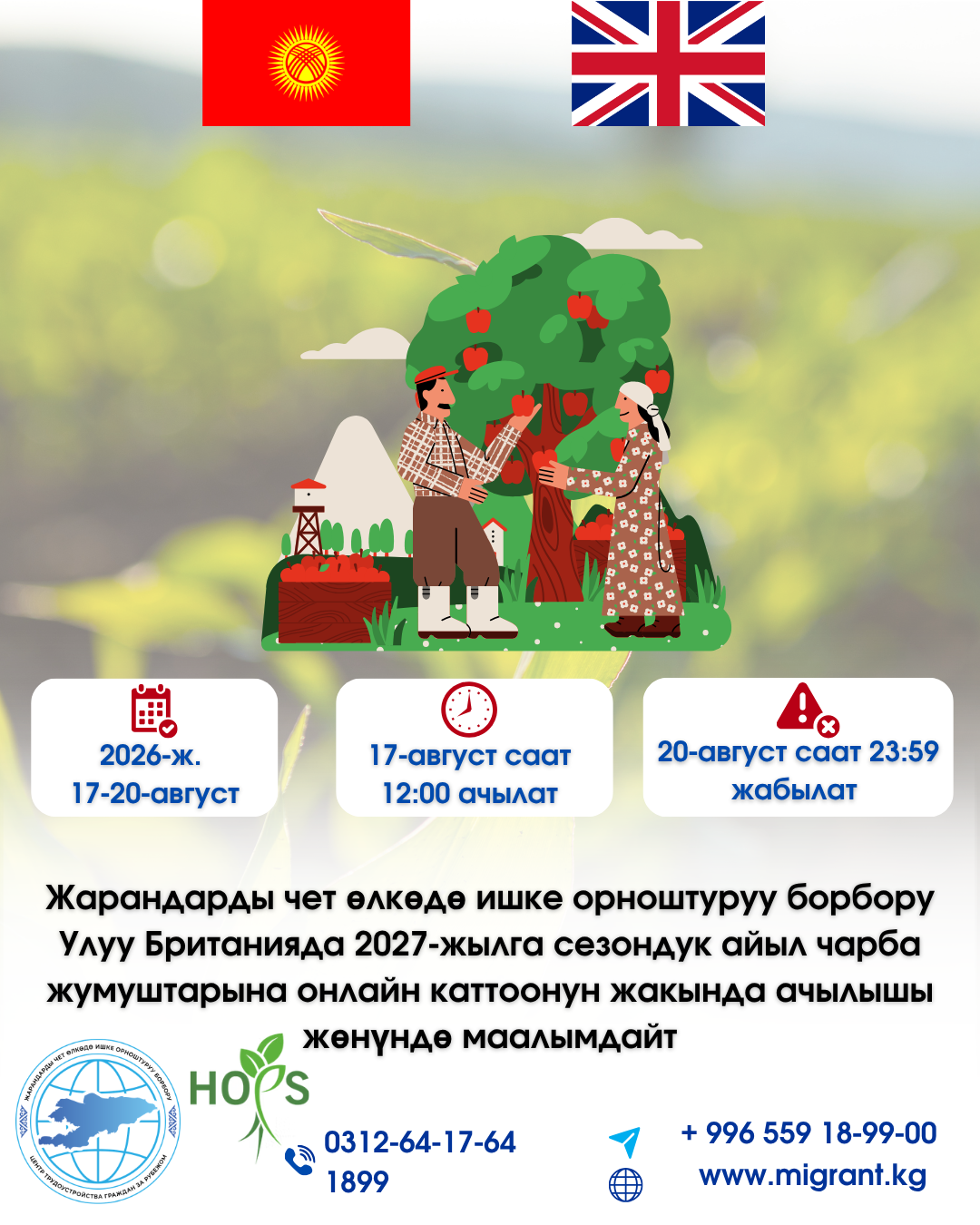 Жарандарды чет өлкөдө ишке орноштуруу борбору Улуу Британияда 2027-жылга сезондук айыл чарба жумуштарына онлайн каттоонун жакында ачылышы жөнүндө маалымдайт